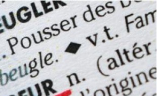 Le mot « beur » a fait son apparition dans le Robert il y a vingt-cinq ans.