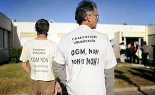 Illustration de militants anti-OGM.
