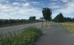 Le site sur lequel la construction du collège est envisagée n'est qu'à 50 mètres des vignes du Château Clément-Pichon.