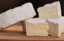 « Aucune contamination » à la listeria constatée depuis la mi-juin dans les…