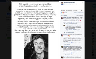 Post de Norman annonçant la mort de son chat Sergi.