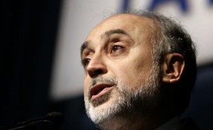 Le chef de l'Organisation iranienne de l'énergie atomique, Ali Akbar Salehi.