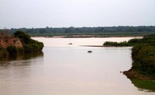 Le parc du Selous, en Tanzanie.