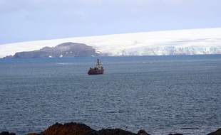 Une baie de l’Île du Roi-George en Antarctique, le 16 janvier 2020.