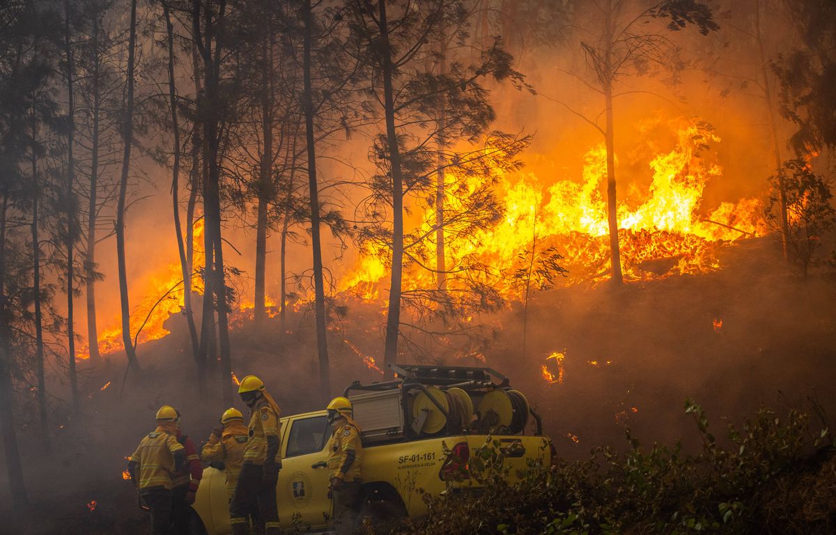 Portugal : L’incendie actif depuis onze jours est le plus vaste jamais enregistré dans le pays image