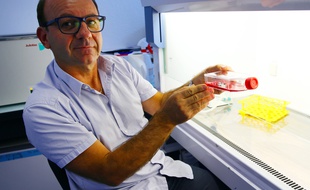 Christian Dani et son équipe niçoise ont découvert comment générer des cellules qui brûlent de l'énergie