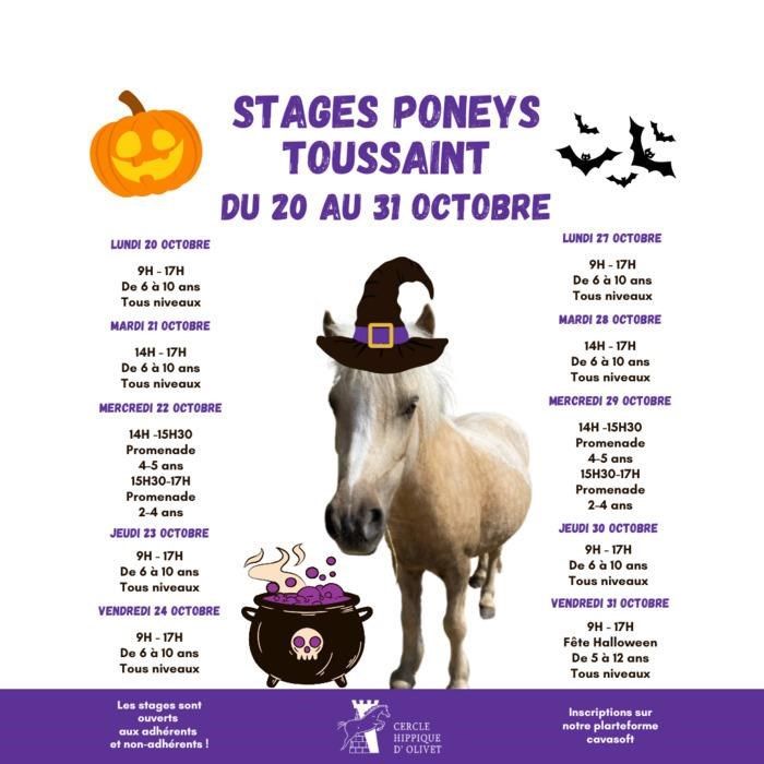 Stages Poneys de la Toussaint au Cercle Hippique d'Olivet