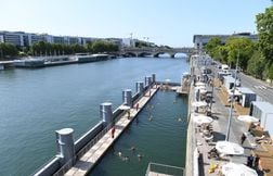 Deux fois plus d’espèces de poissons dans la Seine que dans les années 70