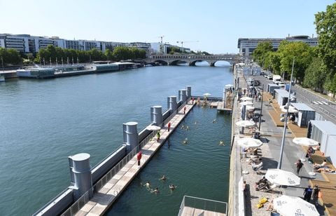 Deux fois plus d’espèces de poissons dans la Seine que dans les années 70