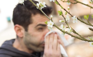 L'arrivée des beaux jours n'est pas agréable pour tous...