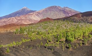 Les cratères du Teide évoquent des montagnes d’épices aux couleurs de l’Afrique.