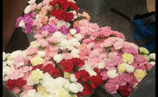 Un adolescent américain a acheté 900 fleurs pour en offrir une à chaque fille de son lycée pour la Saint-Valentin.