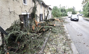 Des arbres sont tombés sur une maison, lors d'un violent orage survenu dans la nuit du 31 août au 1er septembre 2015.