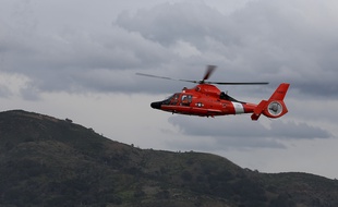 Un hélicoptère Dauphin (image d'illustration).