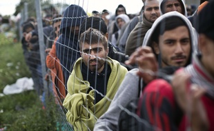 Des migrants attendent d'embarquer dans un bus affrété par l'Autriche, à Hegyeshalom en Hongrie, le 6 septembre 2015.