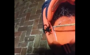 En Australie, un père de famille a trouvé une araignée mortelle dans la chaussure de son fils.
