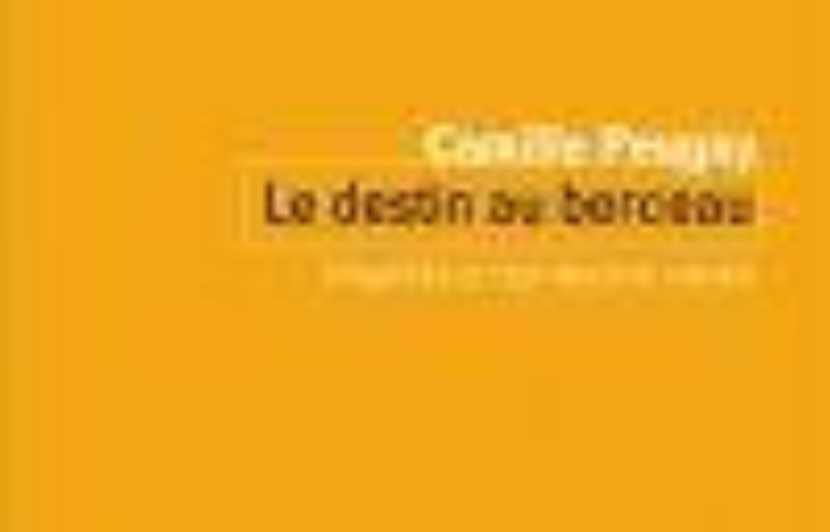 Le Destin Au Berceau: Inégalités Et Reproduction Sociale "Le destin au berceau : inégalités et reproduction sociale" de Camille