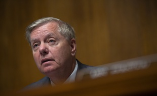 Le sénateur républicain Lindsey Graham.