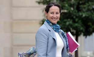 La ministre de l'Energie, Ségolène Royal, prendra bientôt un arrêté garantissant la stabilité des tarifs réglementés du gaz à partir du 1er juillet