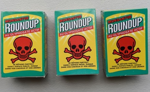 Des fausses bouteilles de Roundup pendant la manifestation en soutien au maire de Langouët Daniel Cueff le 22 août 2019.