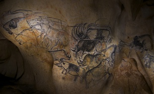 Des lions, des rhinocéros, des aurochs, la grotte abrite une faune variée et majestueuse.
