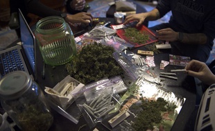 Le groupe DC Marijuana Coalition a distribué des joints à Washington le jour de l'investiture de Donald Trump