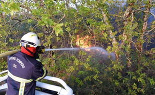 Des pompiers en action sur un incendie de forêt (illustration).