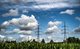 Des pylônes électriques. Illustration.