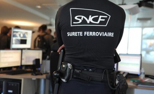 Un agent de sécurité de la SNCF à Paris, le 13 novembre 2014