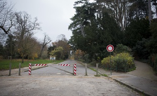 Le bois de Boulogne à Paris. (Illustration)
