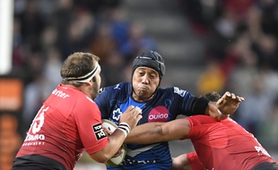 Demi-finaliste du Top 14 de rugby la saison dernière. Montpellier a débuté la saison par deux défaites contre Toulouse et Clermont.