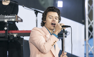 L'acteur et chanteur Harry Styles