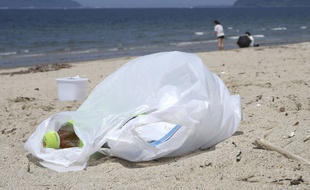 Un sac plastique (Illustration).