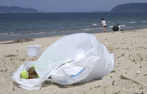 Sacs, fils, emballages… Les animaux marins étouffent sous le plastique