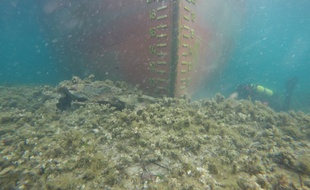 Des plongeurs ont inspecté la coque du cargo.