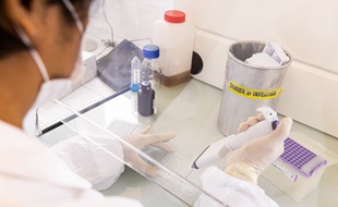 Des tests dans le cadre de la crise du coronavirus réalisés en Guyane. (Illustration)