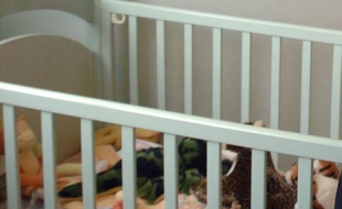 Un enfant de 27 mois a succombé à ses blessures trois jours après avoir eu la tête coincée entre les barreaux d'une barrière de protection - pourtant homologuée - dans une crèche associative de Nice, a-t-on appris mercredi auprès de l'association qui la gère.