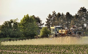 Un fermier utilise du pesticide sur un champ de pommes de terre, le 30 mai 2012 à Godewaersvelde