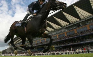 Tout ce cirque finit même par éclipser les performances des meilleurs chevaux du monde.
Conception : E. Drouard