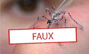 Le photomontage conceptuel d'un moustique espion.