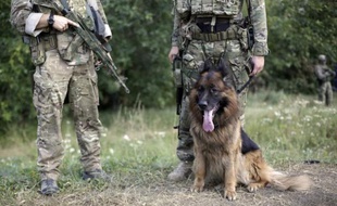 Des soldats ukrainiens des forces spéciales lors d'une opération contre des militants prorusses à coté de Debaltseve (région de Donetsk), le 16 août 2014
