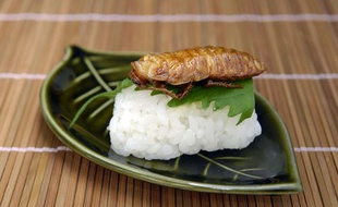 Un sushi d'insecte, à Tokyo, en 2008.