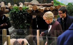 Yuan Meng, le bébé panda, a été baptisé en présence de Brigitte Macron.