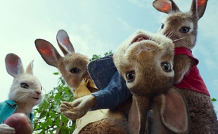 Pierre Lapin de Will Gluck