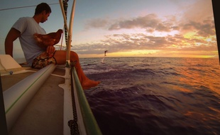 Guirec et sa poule Monique observent les dauphins qui accompagnent le bateau Yvinec dans l'Atlantique.