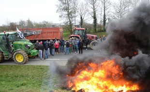 Des agriculteurs manifestent le 21 janvier 2016, près de Plestan (Côtes-d'Armor) pour protester contre la baisse des prix de la viande