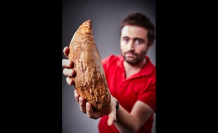Cette énorme dent de cachalot, vieille de 5 millions d'années, a été retrouvée sur une plage australienne.