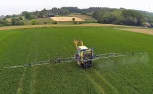 Les ministres en charge de la Santé, de l'Ecologie et de l'Agriculture se sont dits favorables vendredi à une réévaluation des autorisations de commercialisation des pesticides, accusés par une étude d'être impliqués dans certaines maladies graves.