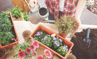 Pour vous aider à choisir, voici un comparatif des meilleures jardinières