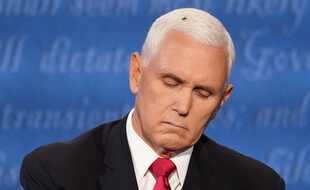 Une mouche s'est posée sur les cheveux de Mike Pence lors de son débat face à Kamala Harris, le 7 octobre 2020.
